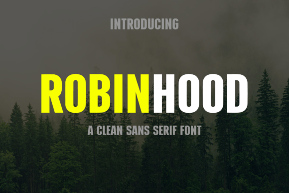 Robinhood: A Typeface for Modern Visual Harmony
